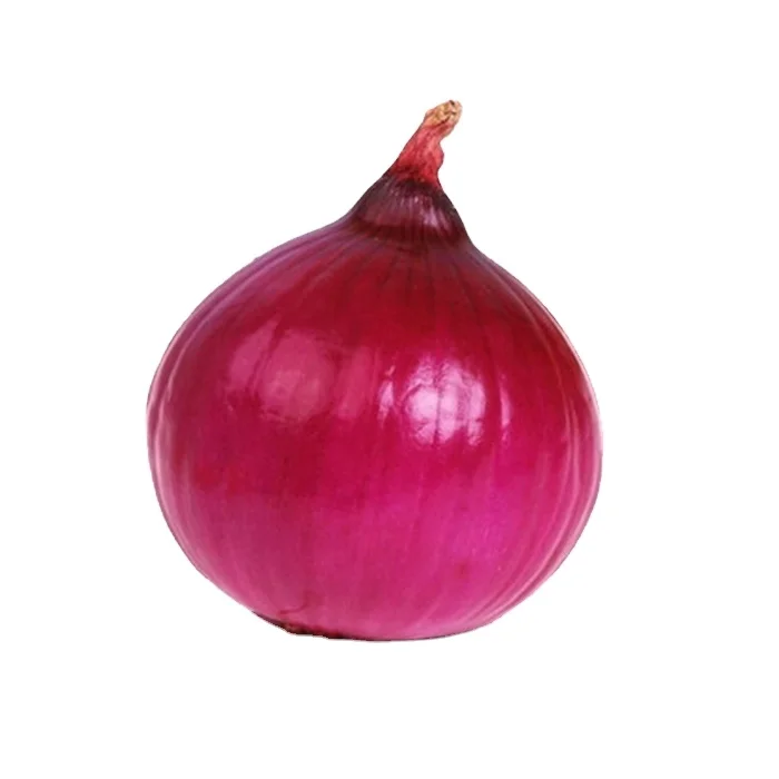 Red Onion Grade 1 Purple Onion Peeled Onion Wholesale