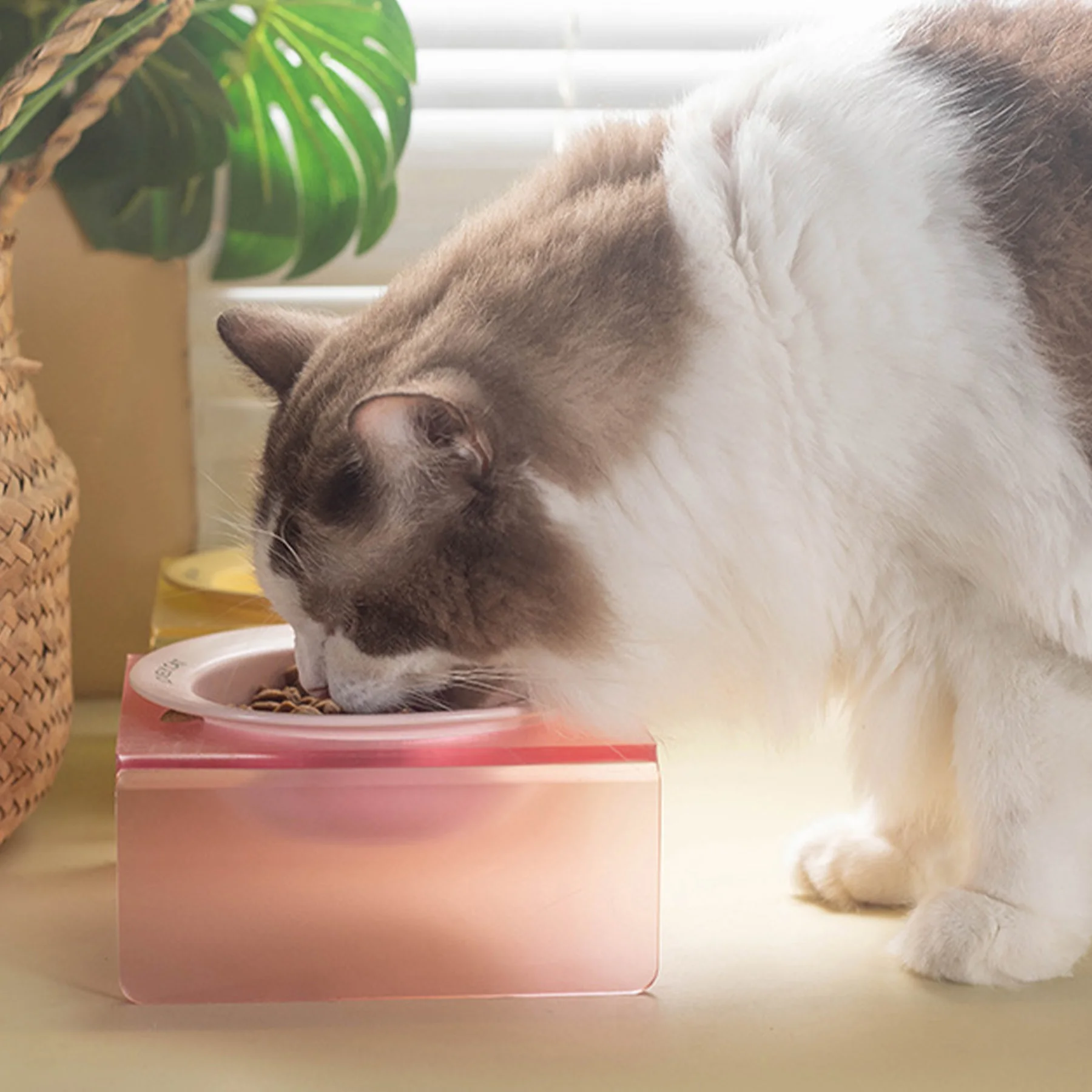 Manufacturer Custom Elevated Pet Ceramic Bowl With Raised Acrylic Stand Raised Dog Cat Feeder Bowls Pet Accessories