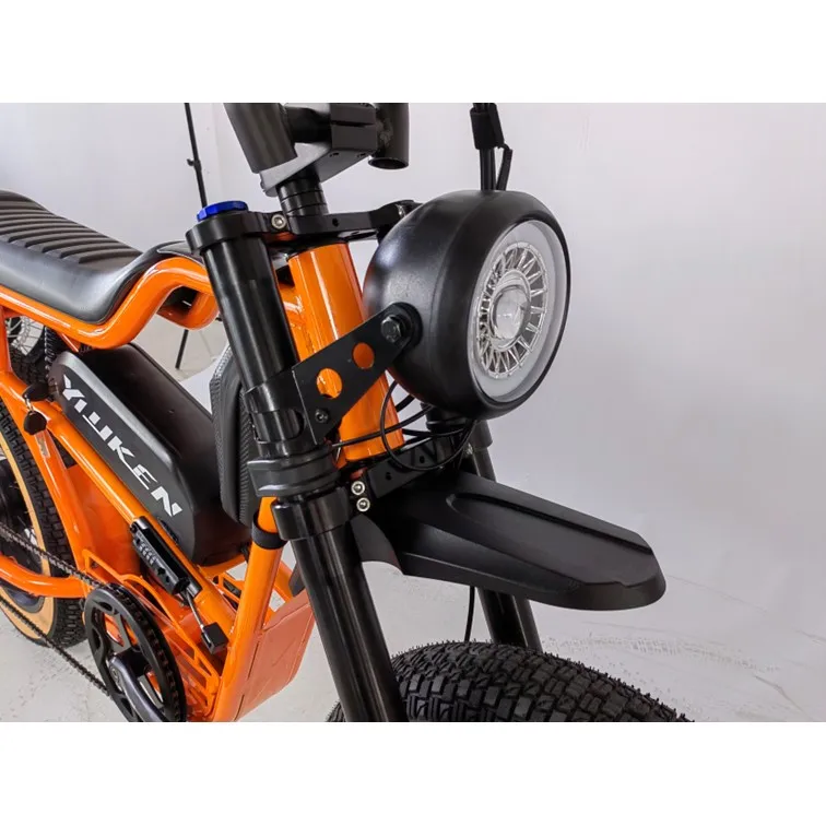 Hot Sale Fat Tire Retro Style Cafe Racer Electric Bike Vintage E-bike 48V 750w Electric Bicycle