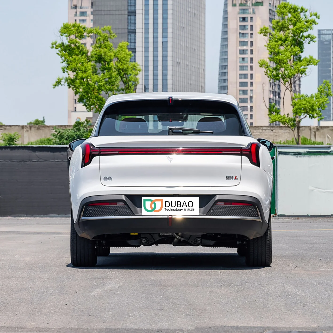 HEZHONG AUTOMOTIVE  Neta L 2024 Extended Range 220 Flash Charge Edition medium SUV naturally aspirate