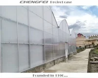 Multi-span invernadero low cost rain shelter polycarbonate agricultural greenhouse supplier for sale