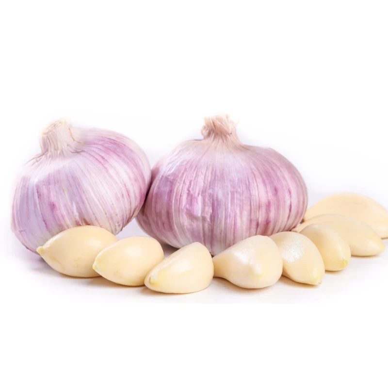 Natural Fresh Garlic Supplier Available Affordable Price