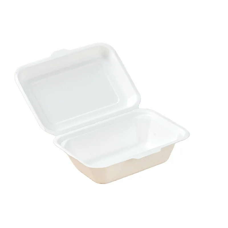 Bagasse Biodegradable Sugarcane Food Pulp Fiber Take Away Container Compostable Paper Bento  Disposable Lunch Box