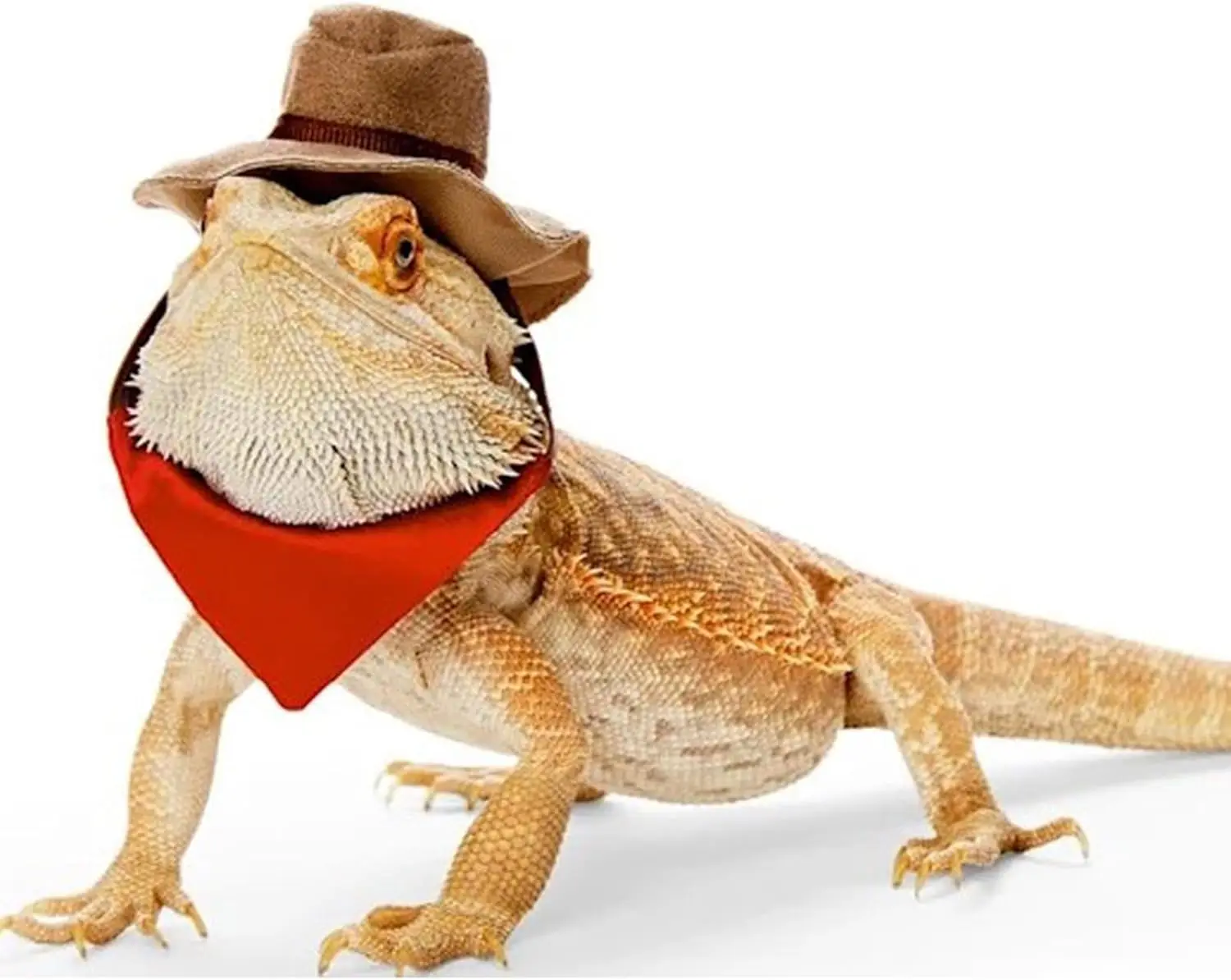 Bearded Dragon Cowboy Hat and Bandana Lizard Reptile Costume Cool Pet Cap Small Animal Hamster Outfit Suit Cosplay Sculpt