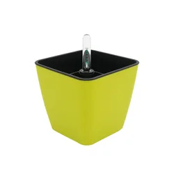 wholesale plastic bonsai pot