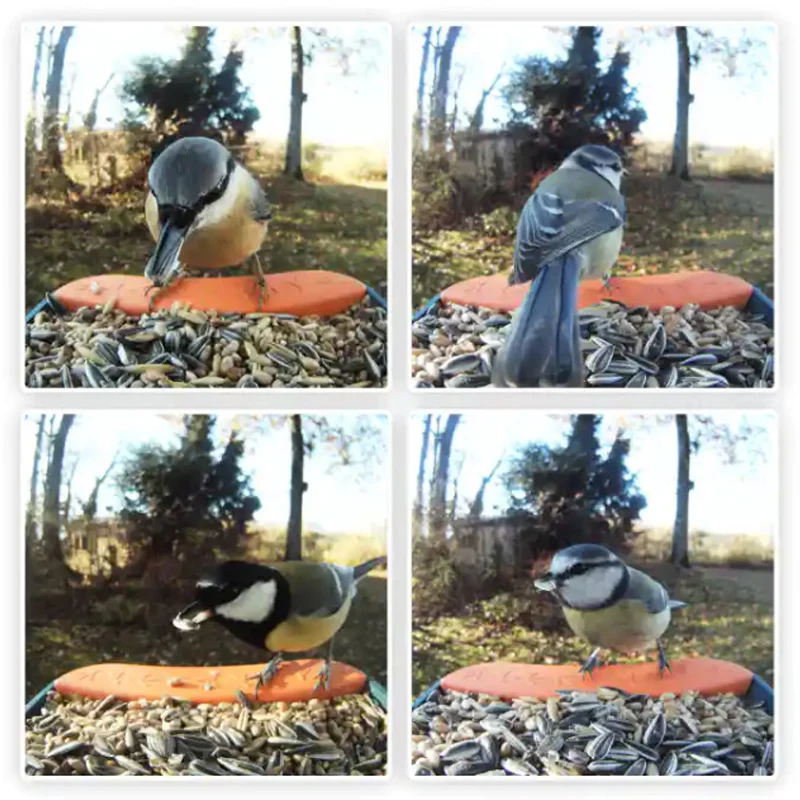 Лидер продаж на Amazon Умная автоматическая кормушка для птиц с камерой и Rfid