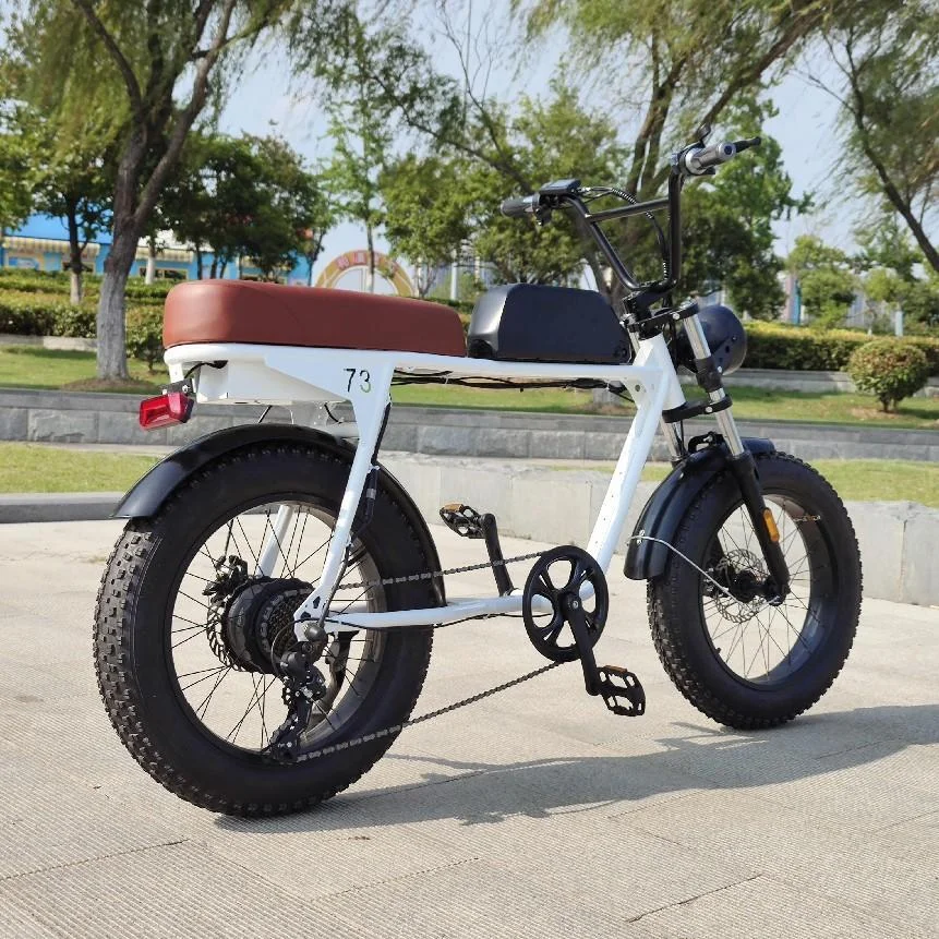Специализируется на YT300 20 'Электрический городской велосипед 250w середины электродвигательного привода Pedelec фара для электровелосипеда в е-байка 36В 7.8Ah 7 скорости Электрический красивый цветный вырослый плащ