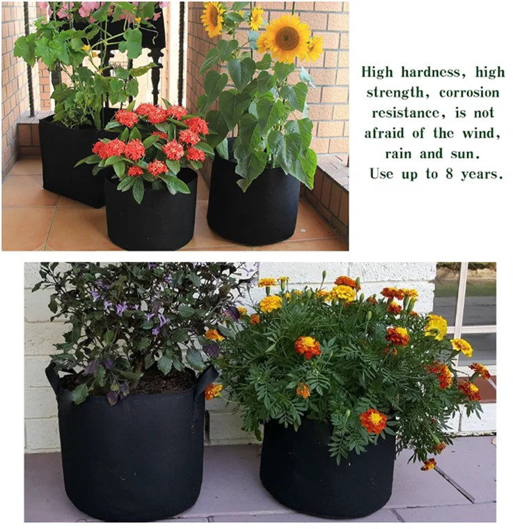 New arrivals handmade biodegradable vegetable blueberry felt grow bags grow mushroom container