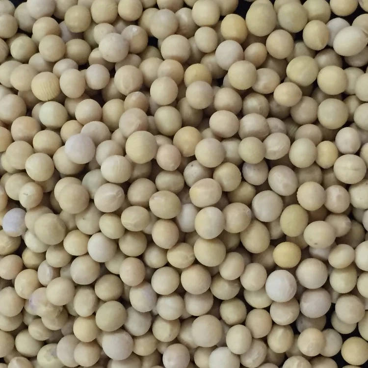 new crop good quality human consumption organic soybean