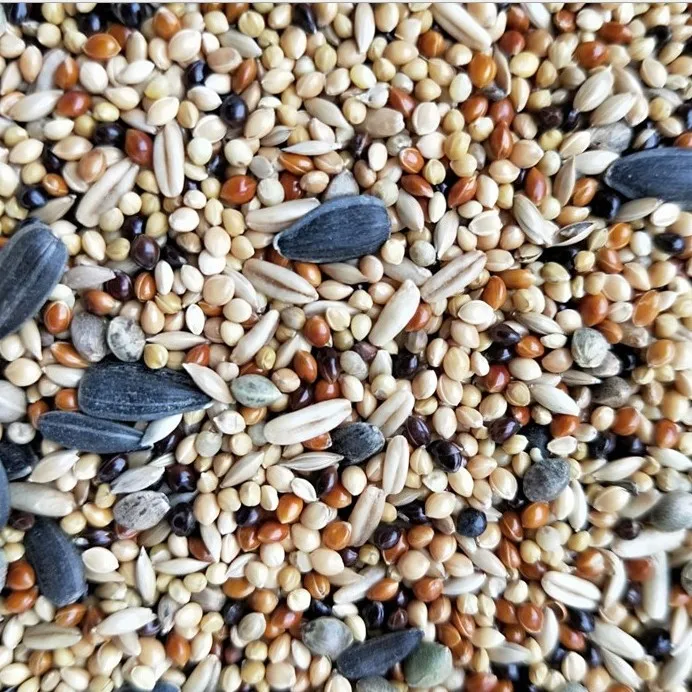 Best Selling Free Sample Pet Parrot Wild Bird Seed Food