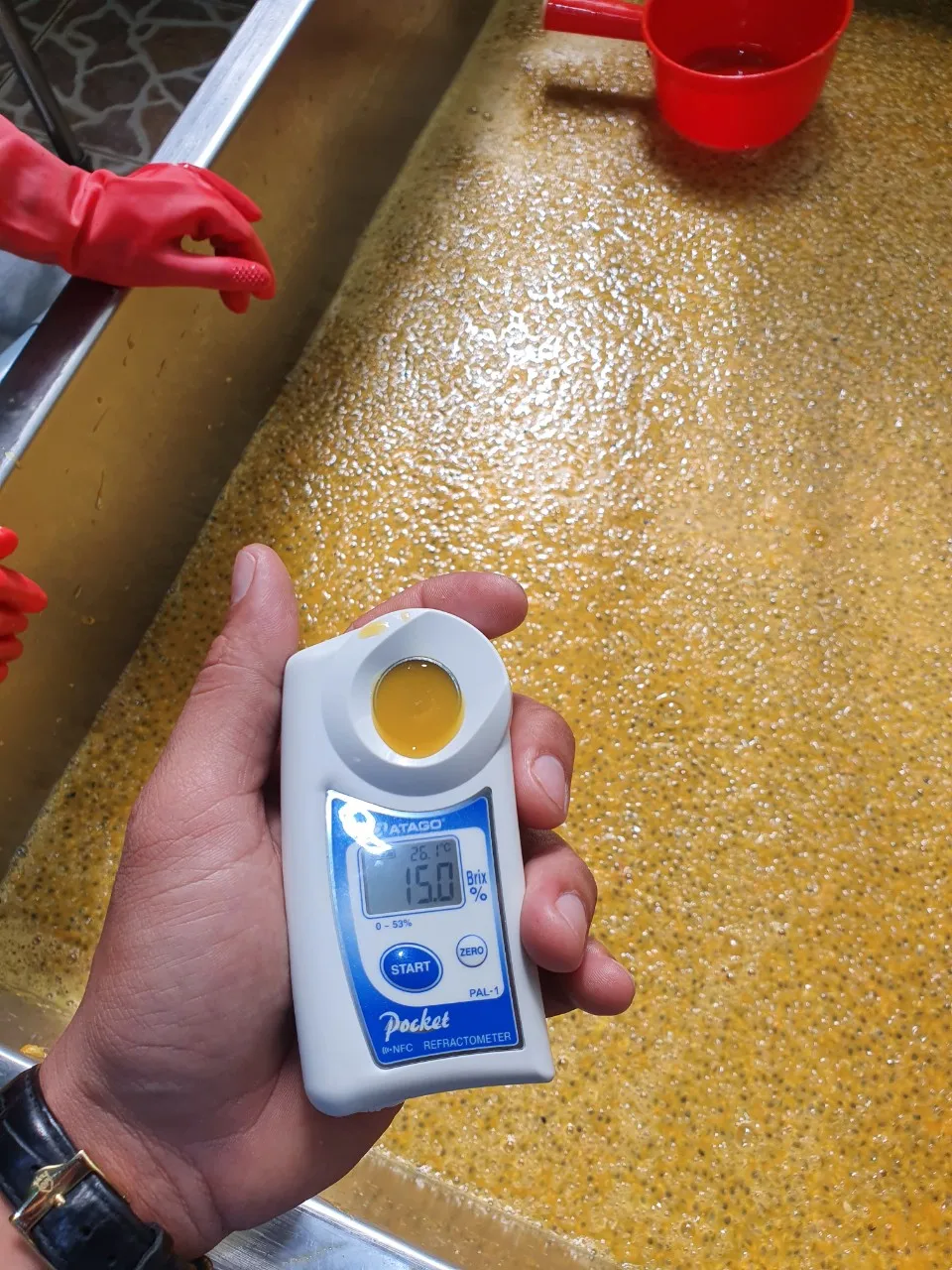 Вакуумная упаковка HASU новое замороженное фруктовое пюре с семенами из Вьетнама