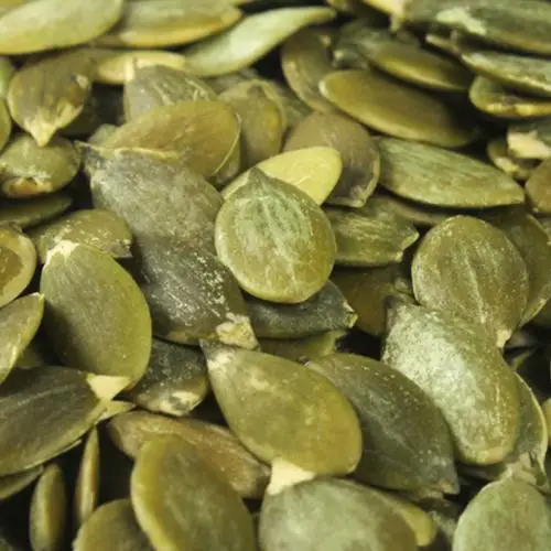 
new crop shine skin pumpkin seeds kernels 