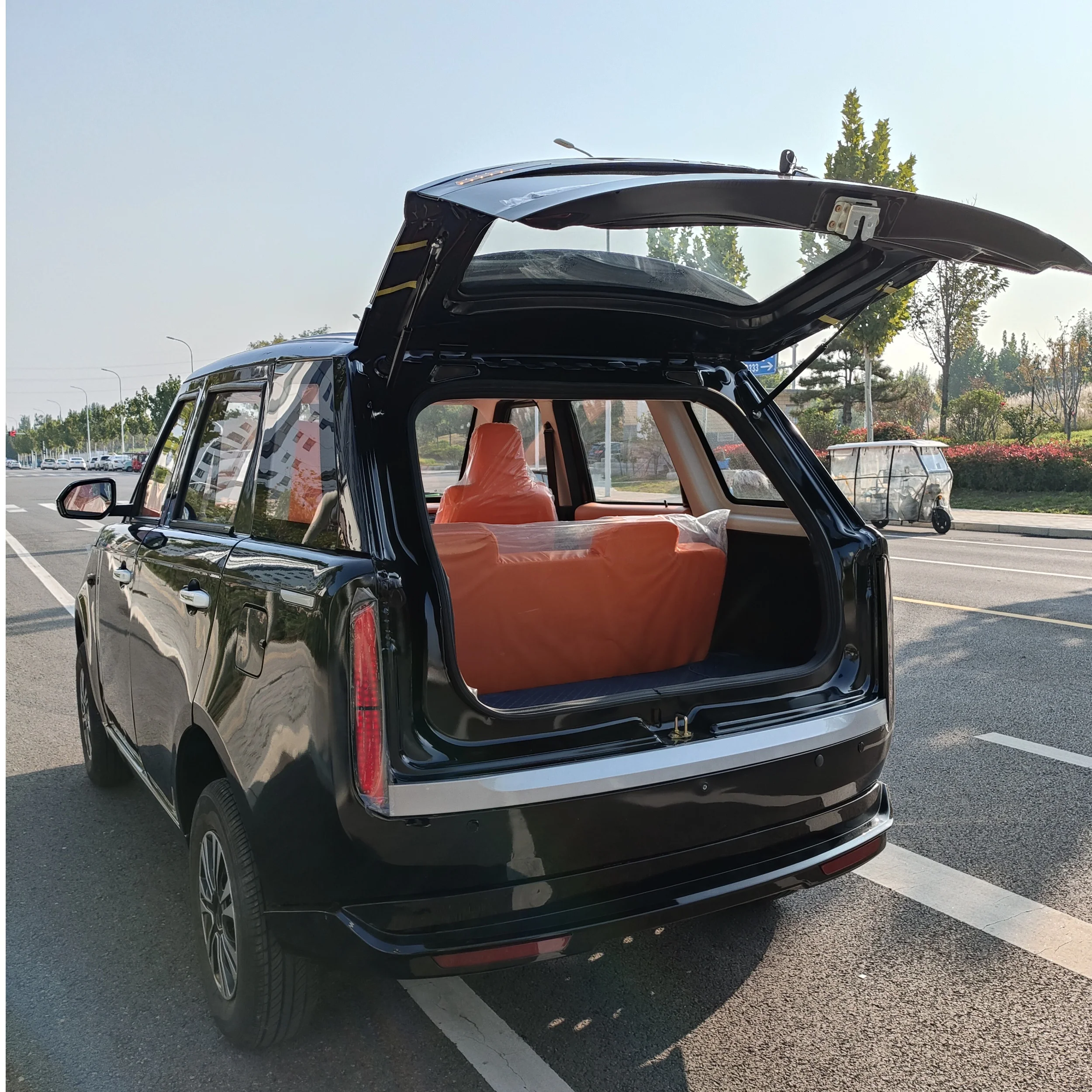 High Quality Hot Sale Wholesale Low-speed Energy Vehicles Small Car Four-wheeled Electric Cars 60V 3500W Battery Car For Adults