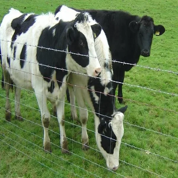 Hot Sale sheep and goat fence hinge joint fencing high tensile Grassland fence wire