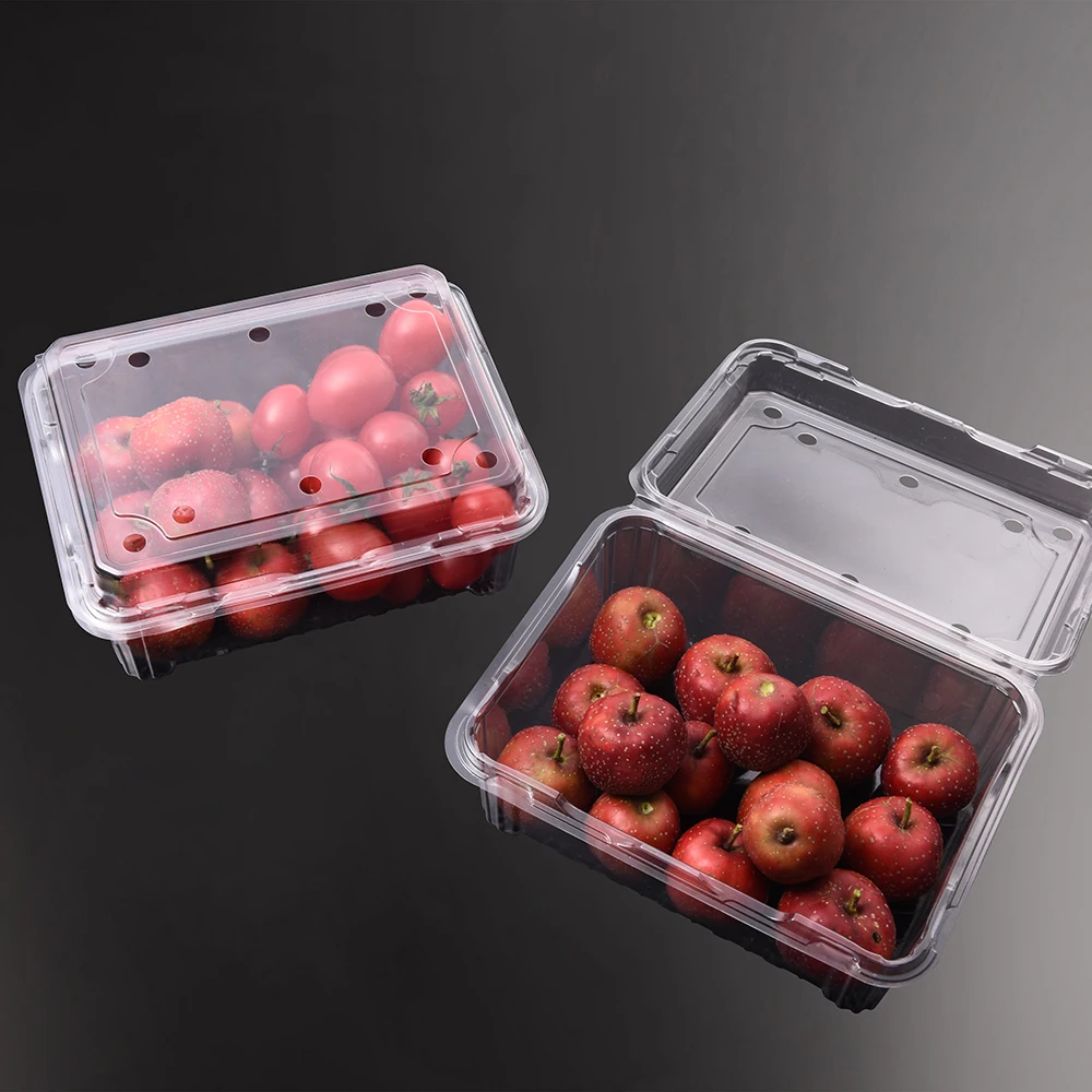 Disposable RPET PET Plastic Storage Container Clear Clamshell Blister Custom Grape Blueberry Tomato 500g Fruit Packaging Box