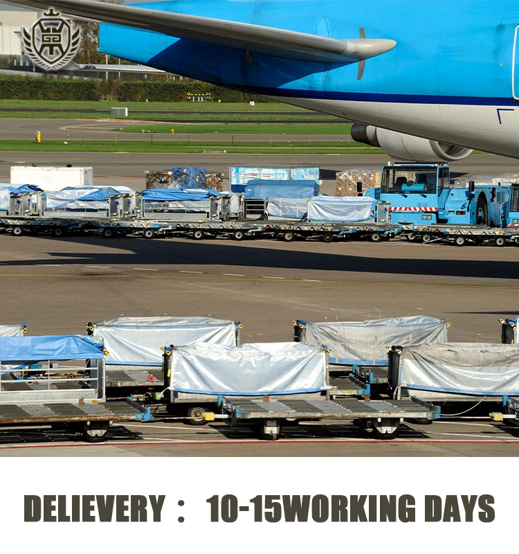 Fedex DHL UPS Express Air Fba DDP из Китая в Германию Франция доставка от двери до