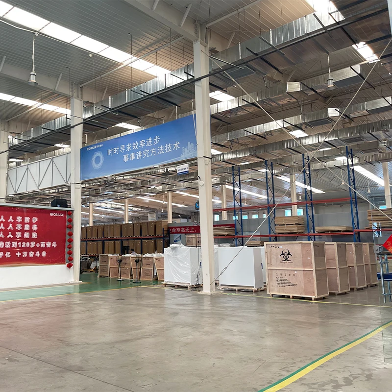 BIOBASE China CO2 Incubator BJPX-C100M 100 Liter Hospital Equipment CO2 Incubator Use for Laboratory