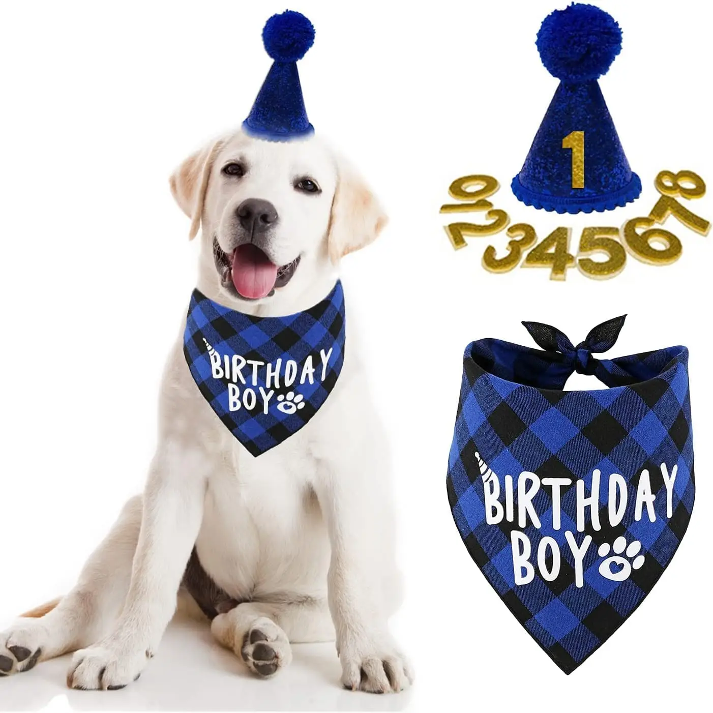 4pcs Slogan Graphic Pet Bandana & Hat & Bow Set For Dog And Cat For Birthday Party