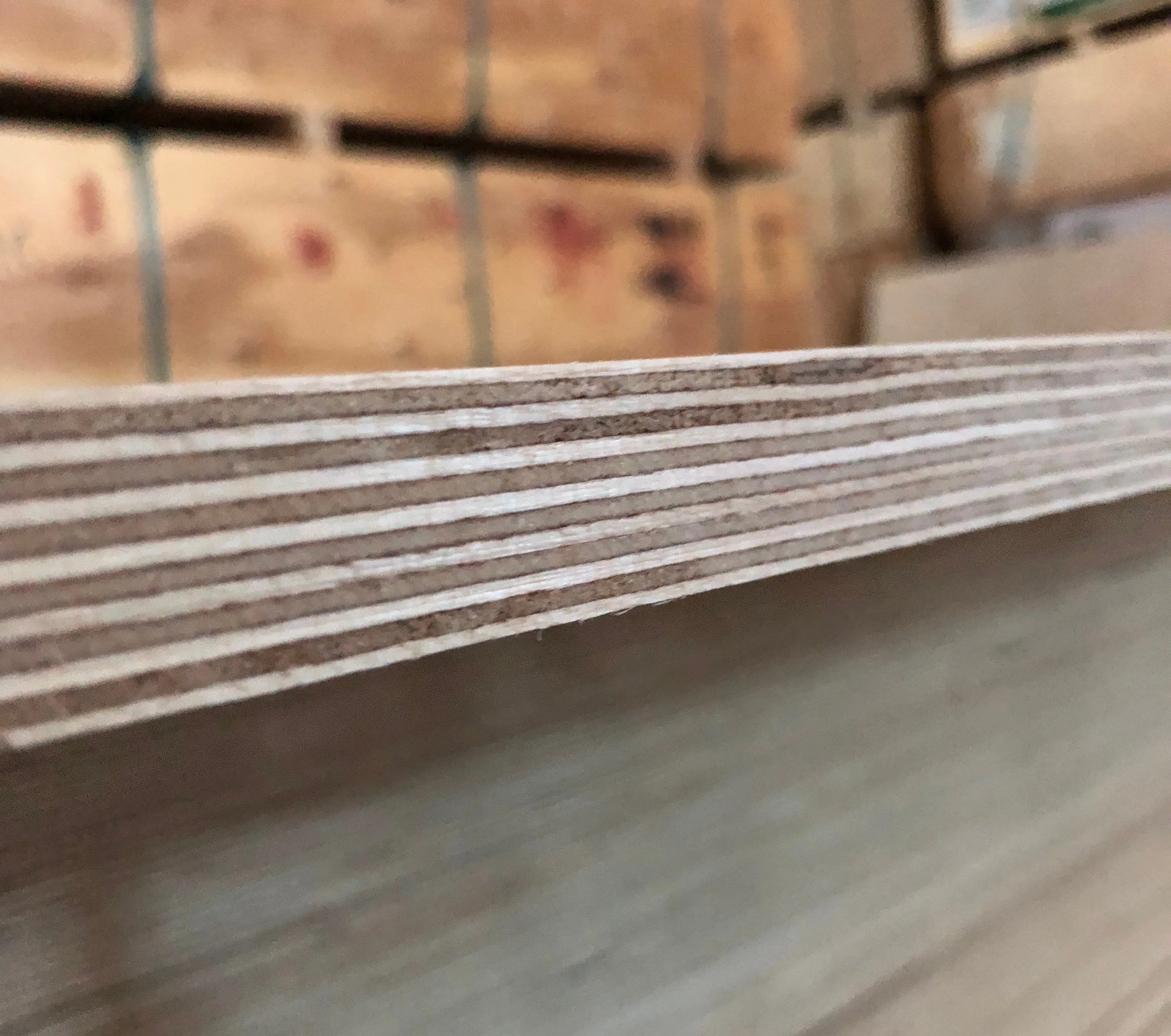 Wholesale Price E0 Russian Baltic Birch Plywood 6mm 9mm 12mm 15mm 18mm 24mm Full Birch 1200*2400 Commercial Plywood Sheet