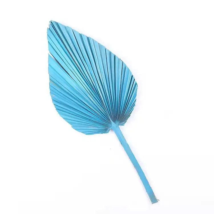 Palm Leaf Wedding Home Decoration Flower Palm Spear Dried Leaf Sun Palm Leaves