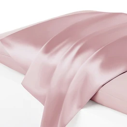 Super Soft Real Silk Pillowcase 25 momme Mulberry Silk Pillow Case Gift Set