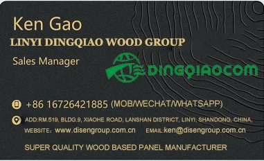 BUSINESS CARD DINGQIAO.jpg