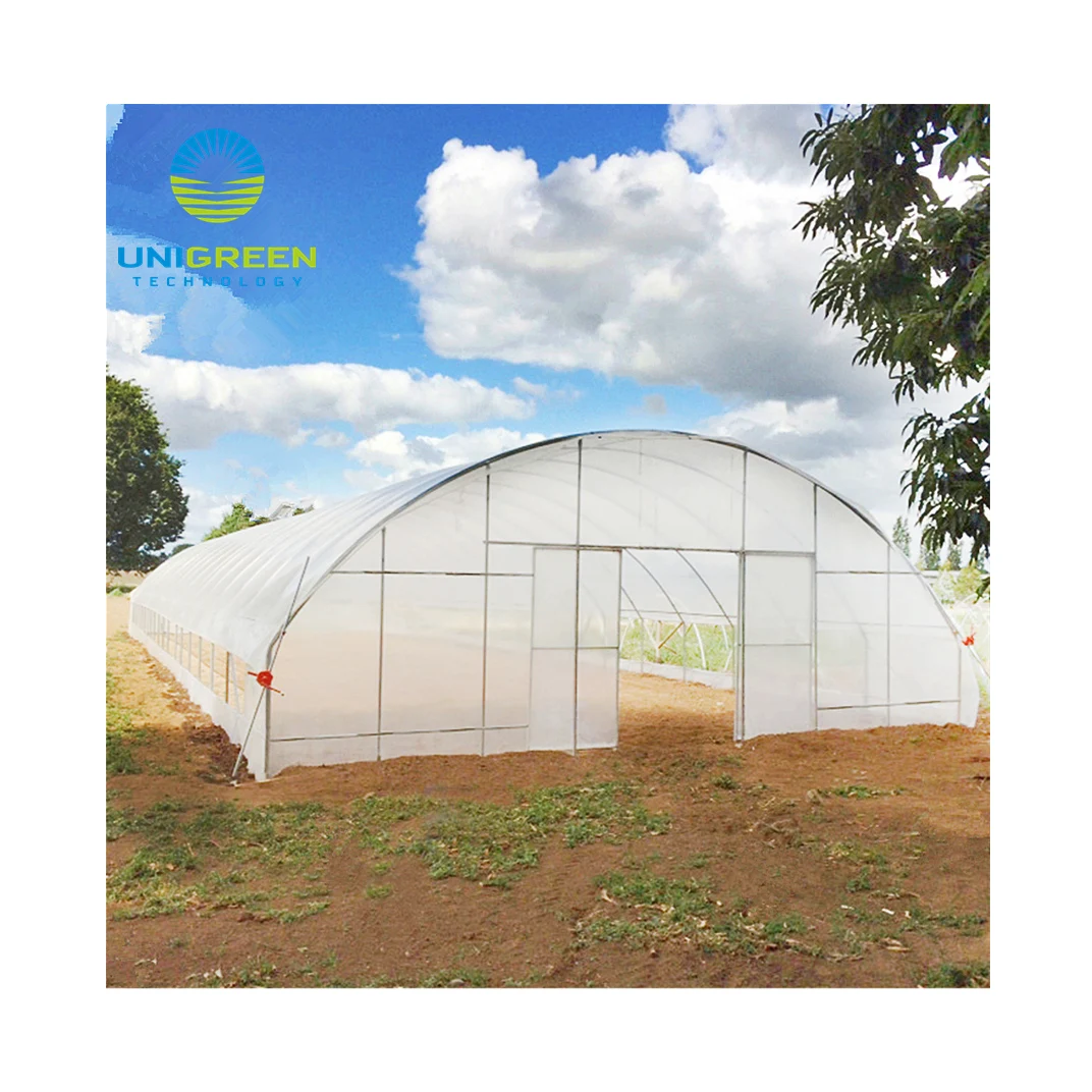 Poly Tunnel  Greenhouse Plastic  Film Greenhouse for Sale