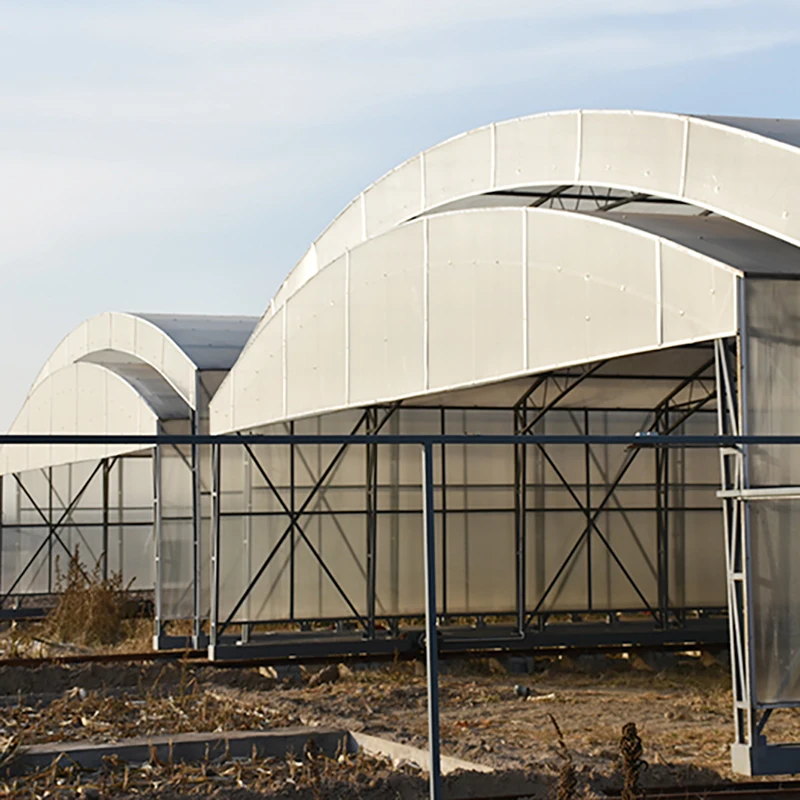 Agriculture Industrial Tunnel Greenhouse with Strong round Arch Economically Viable Plastic Film Greenhouse Structure