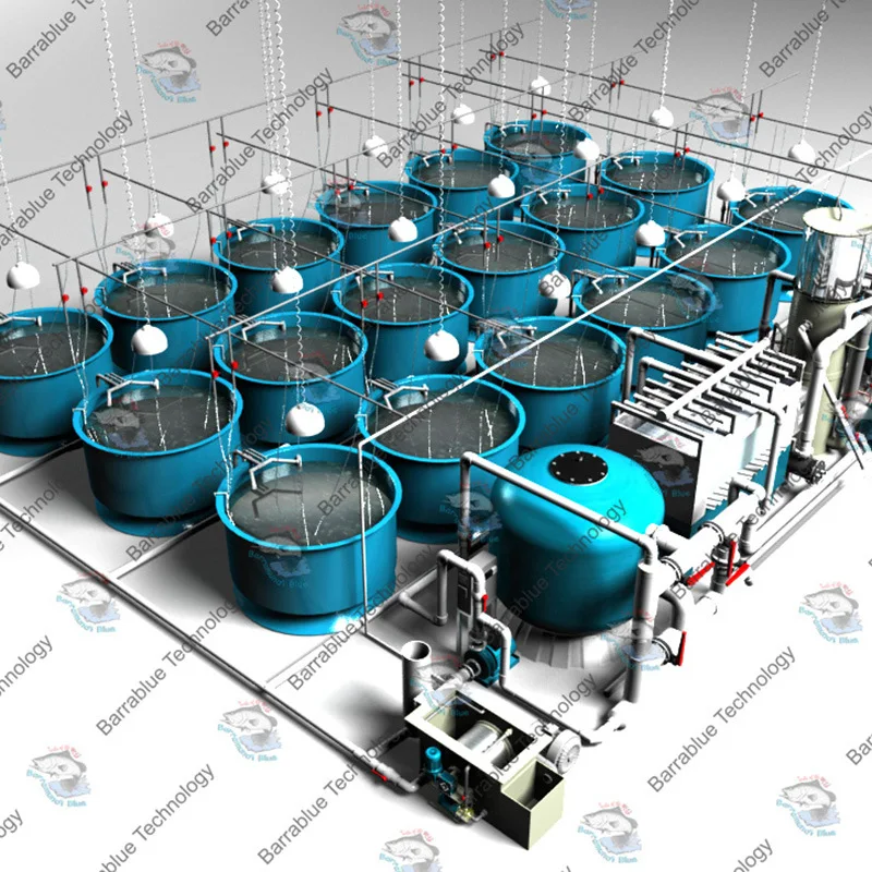 Recirculating Aquaculture RAS System Ras Fish Farm Filter System