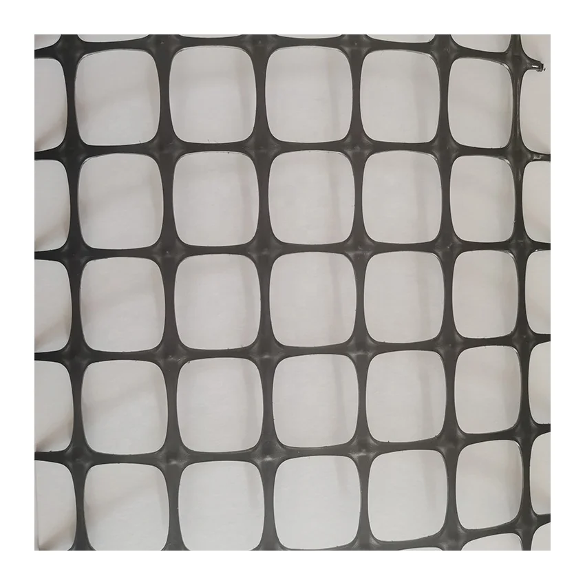 Factory sale various ce iso biaxial 20kn 40kn subgrade reinforcement geogrid 2020 4040