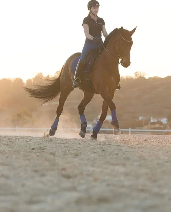 brompton saddle horse saddle pad horse riding clothing saddle horse