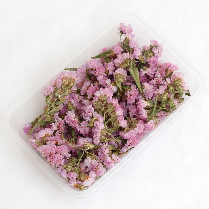 GH-096 wholesale dried flower bag natural bulk lavender daisy preserved dried flower material package heads for decoration