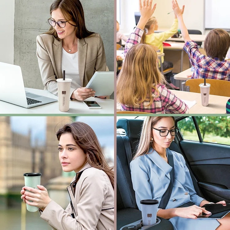 Wheat Straw Water Cup with Straw Wholesale Eco Friendly Big Size 450ml Water Bottles Creative Water Mug Plastic Outdoor Travel