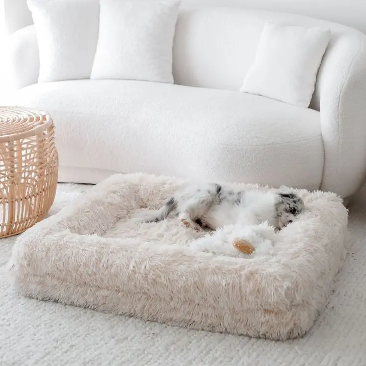 High Quality Orthopedic Pet Bed Winter Velvet Nest Cooling Feature Memory Foam Square Boucle Cover Solid Animal Dogs Cats