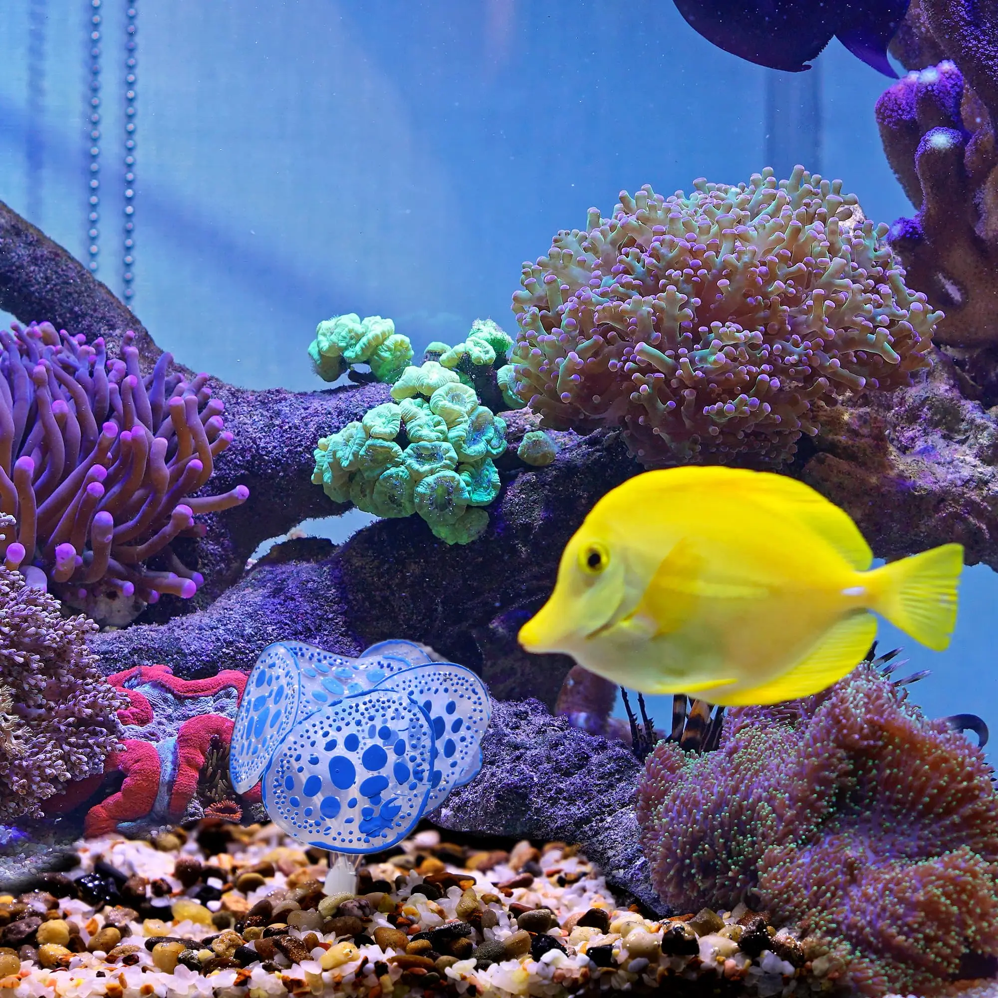 Wholesales Soft Silicone Glowing Simulation Coral Fluorescence Aquatic Artificial Water Plants for Aquarium