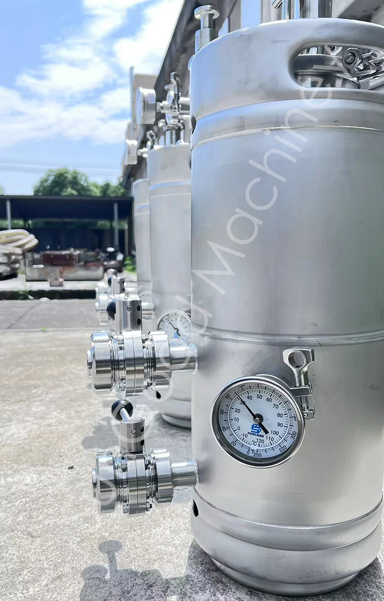 20L 30L 50L 60L yeast propagation keg Beer Keg For Dry Hop And Add fruit/Keg Yeast Brink/Yeast Propagation Keg