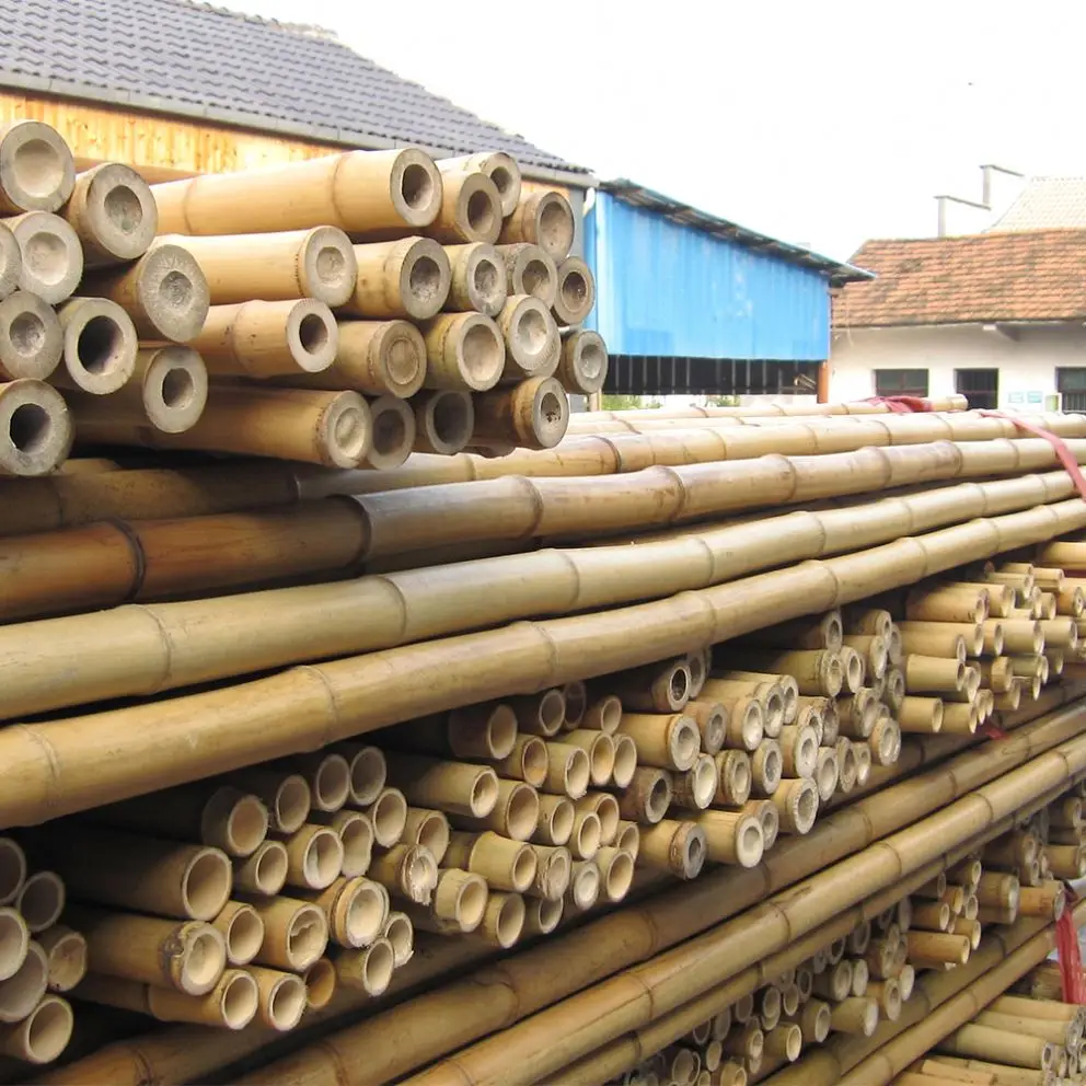 Wholesale natural straight bamboo pole artificial bamboo poles