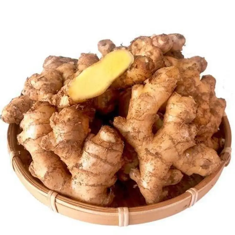 Good Yellow Ginger Fresh Fat Ginger New Crop Chinese Fresh bulk ginger