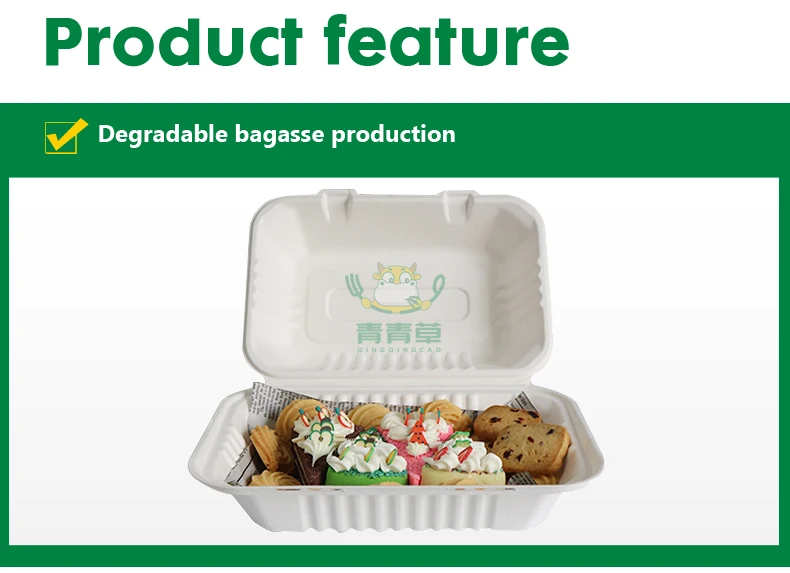 one time use sugarcane bagasse container molded paper pulp box degradable tableware made in China