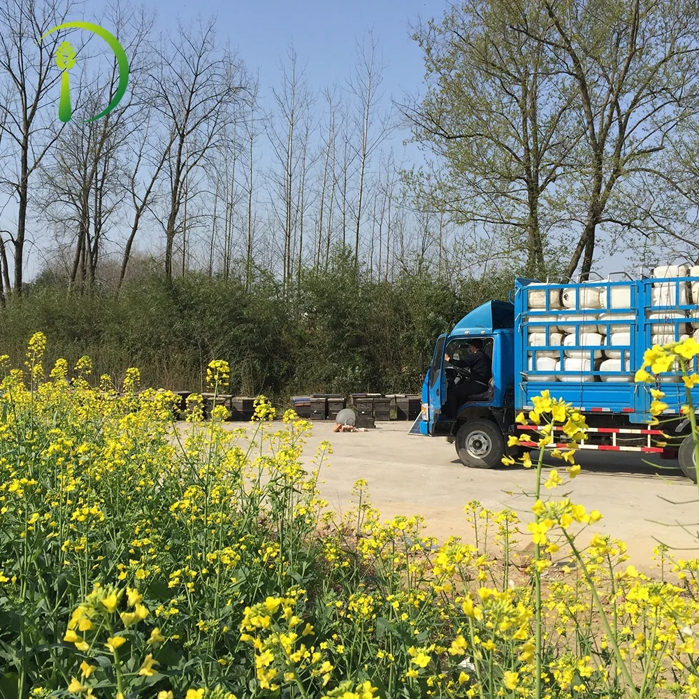 
500g Unique Syrup Honey Jars Hexagonal 