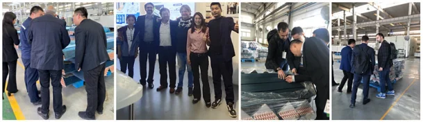 paste-pic-dp_uuid_2vlqj