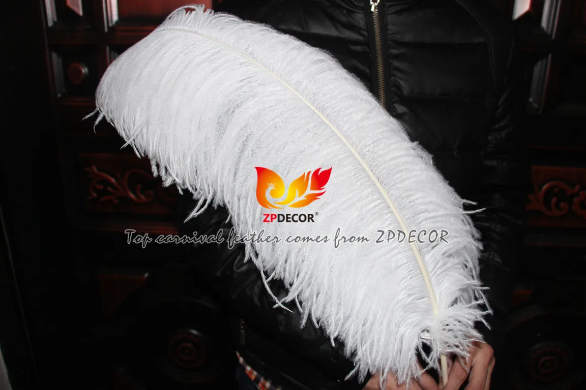 Leading Supplier from ZPDECOR Factory Wholesale Large Size 70-75 cm White Ostrich Feather for Carnival Design