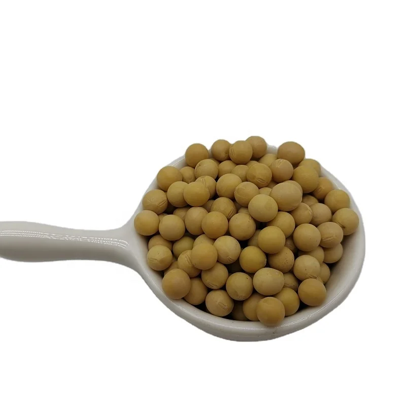 New Crop wholesale soybean seeds China origin bulk soybeans wholesale