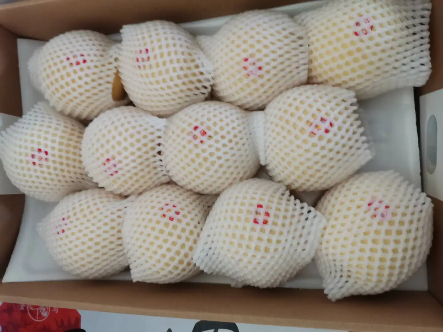 Высокое качество груши фрукты Корона груша новые свежие груши фрукты для продажи