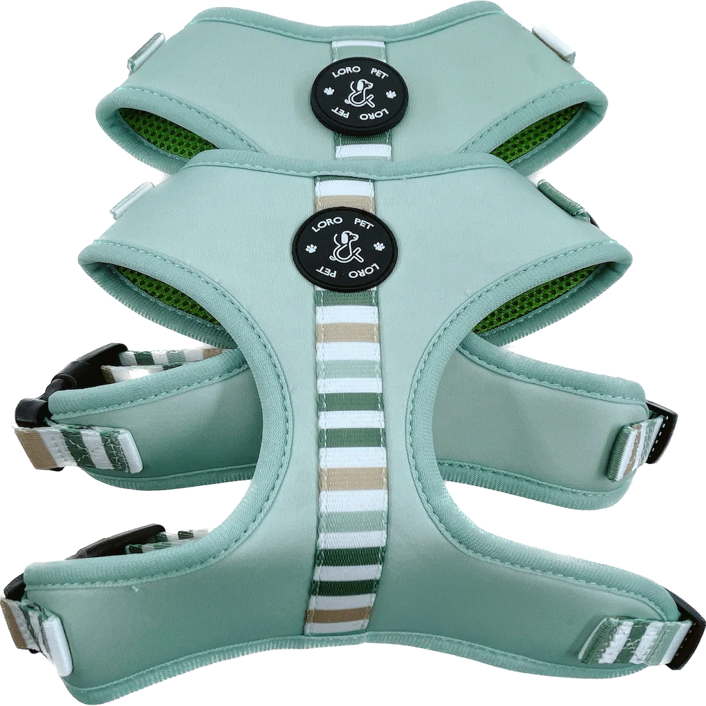 2024 Padded Dog Harness Set Custom Logo Sublimation Print No Pull Pet Supplies Luxury Pink Soft Dog Harness Leash And Collar Set