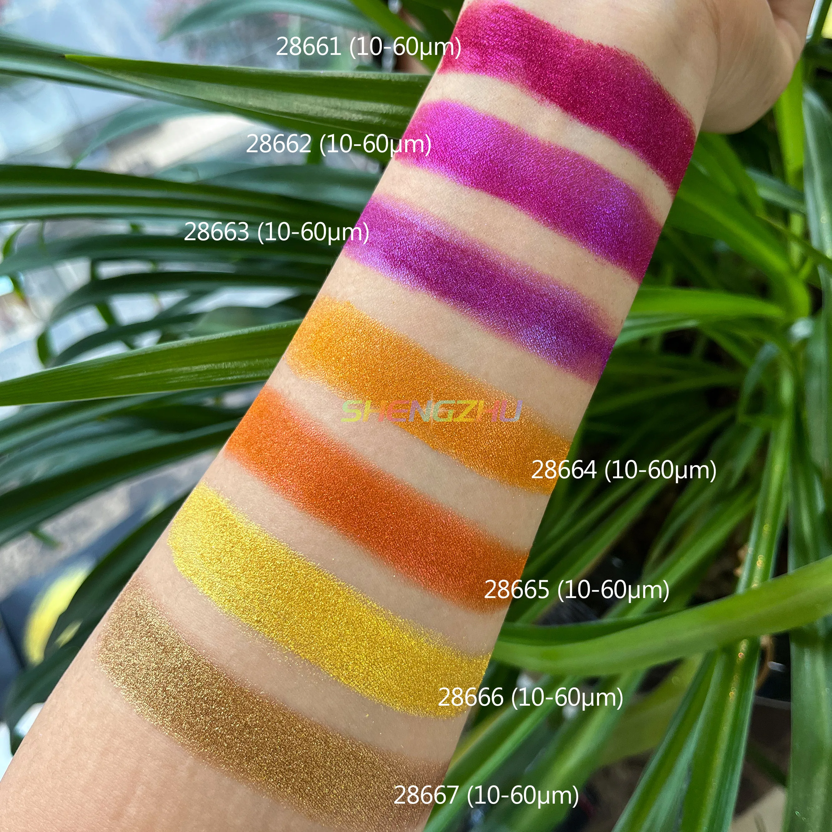 Sheng Zhu new cosmetic makeup eyeshadow color pigment powder rose violet gold purple colors