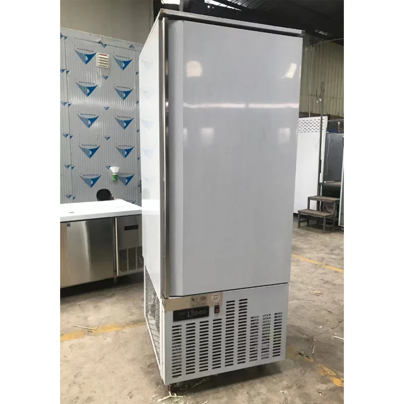 Commercial Chicken Blast Freezer -40℃ Ultra Low Temperature Quick Freezer Machine Kitchen Frozen Food Fast Freezing Chiller