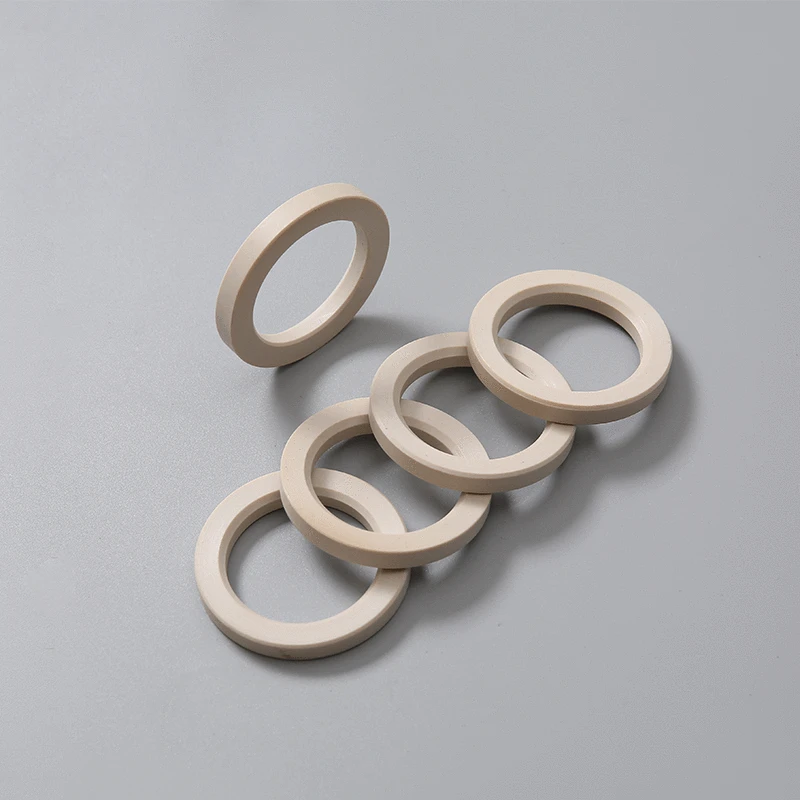 PEEK Plastic Retaining Seal Rings