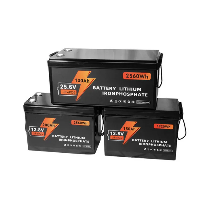 Rechargeable Lithium Ion Battery 24V 12V 200Ah 300Ah 100Ah Lifepo4 Battery Packs For RV EV Boat Energy Storage Battery