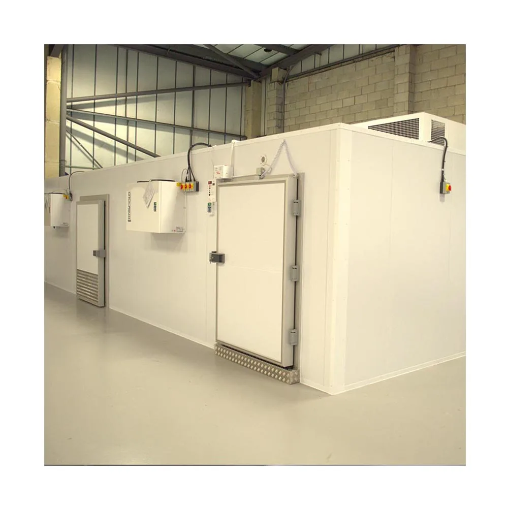 walk in cooler 40 feet freezer container camara frigorifica